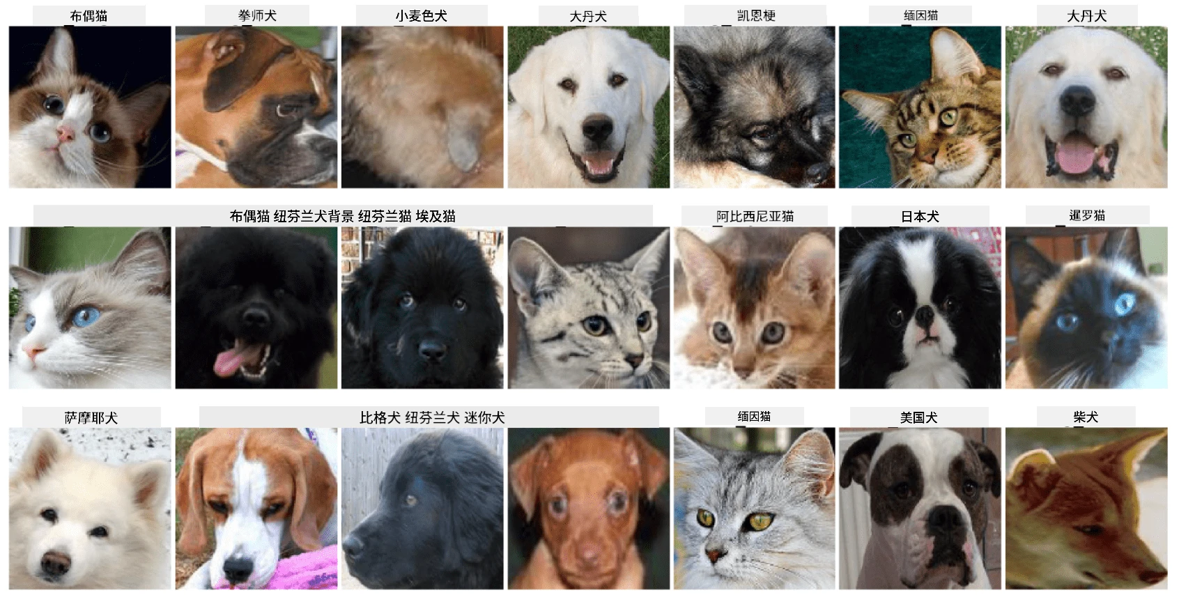 我们将处理的数据集